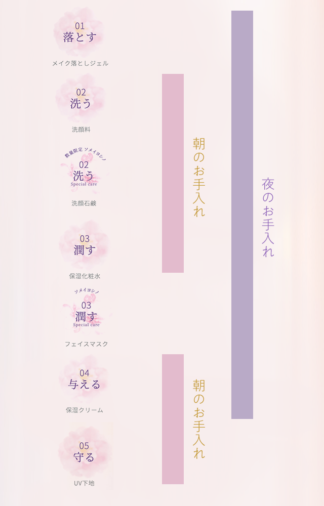 お手入れ方法のステップ